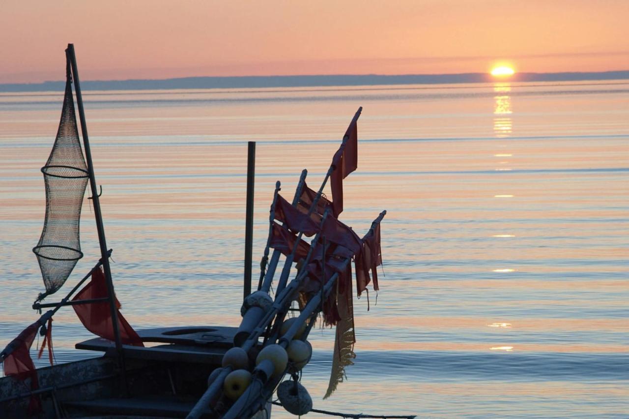 Fewo Seeblick - Familien - Hunde - Strandnah - Ostseeblick - Sauna & Wellness Sierksdorf Eksteriør bilde