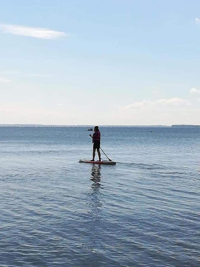 Fewo Seeblick - Familien - Hunde - Strandnah - Ostseeblick - Sauna & Wellness Sierksdorf Eksteriør bilde